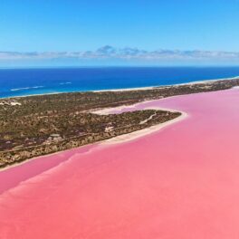 Lacul Hillier, Australia, de culoare roz, cu oceanul albastru pe fundal, pentru a ilustra de ce lacul Techirghiol e roz