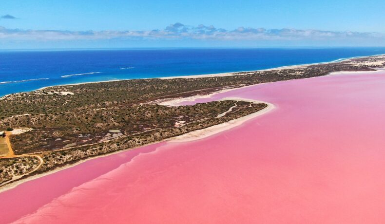 Lacul Hillier, Australia, de culoare roz, cu oceanul albastru pe fundal, pentru a ilustra de ce lacul Techirghiol e roz