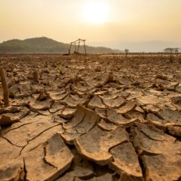 Pământ crăpat în timpul unei secete, fenomen meteo care poate să apară și în 2023 acum că El Nino a sosit