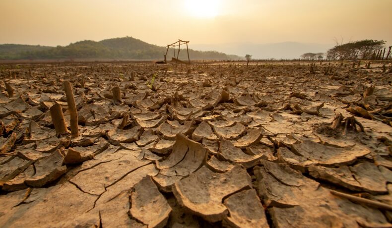 Pământ crăpat în timpul unei secete, fenomen meteo care poate să apară și în 2023 acum că El Nino a sosit