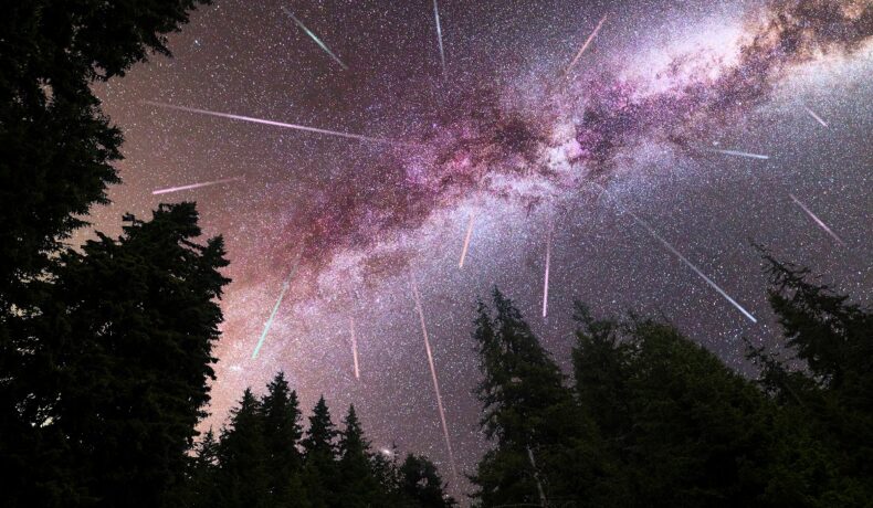 Ploaie de meteoriți pe un cer mov, înconjurat de copaci negri, similară cu Perseide în 2023