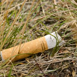 Muc de țigară cu filtru galben, aruncat în iarbă pe sol, similară cu video-ul care arată ce se întâmplă cu o țigară lăsată în sol