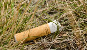 Muc de țigară cu filtru galben, aruncat în iarbă pe sol, similară cu video-ul care arată ce se întâmplă cu o țigară lăsată în sol