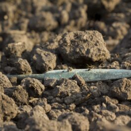 Vârf de săgeată din metal, în pământ, pentru a ilustra cum experții au găsit o armă antică creată din meteorit