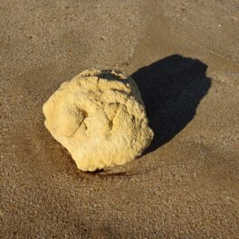 Piatră aurie pe plajă, cu umbră în spate, pentru a ilustra cum un cercetător care investiga moartea unei balene a găsit ambră
