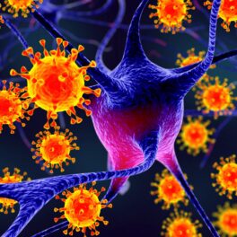 Virusul Nipah portocaliu, ce e în mijlocul unui atac asupra unui neuron mov, pe fundal negru