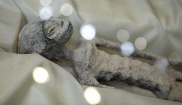 Mumie „de extraterestru” expusă în Mexic, septembrie 2023, pe o pernă albă