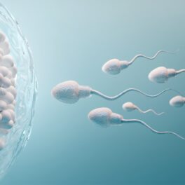 Spermatozoizii, care încalcă una dintre regulile fundamentale ale fizicii, care se îndreaptă spre un ovul alb, pe fundal albastru