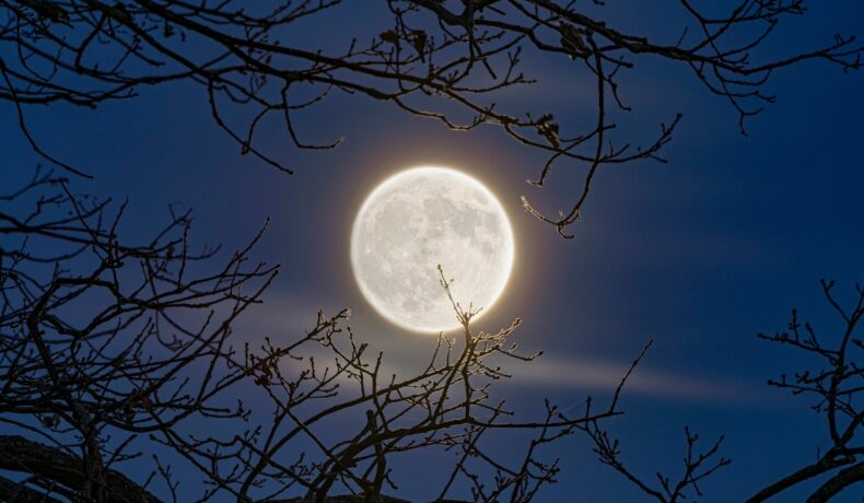 Luna Castorului din 2023. Când va avea loc ultima Lună Plină înainte de solstițiul de iarnă