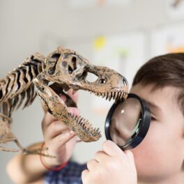 băiat care se uită la un model de dinozaur T.rex cu o lupă, pentru a ilustra de ce oamenii nu trăiesc mai mult