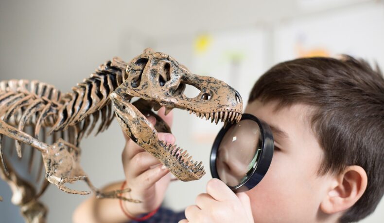 băiat care se uită la un model de dinozaur T.rex cu o lupă, pentru a ilustra de ce oamenii nu trăiesc mai mult
