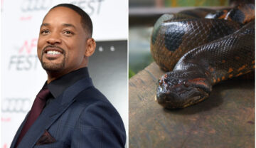 Colaj cu Will Smith, pe fundal alb, ămbrpcat ăn costum albastru, cu un șarpe anaconda, cel mai mare din lume